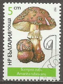 Bulharsko p  Mi 3546