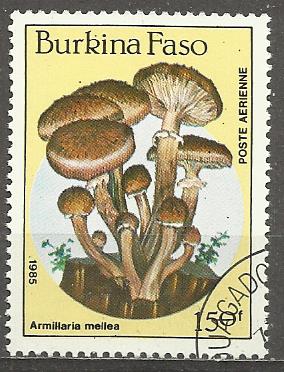 Burkina Faso p Mi 1060