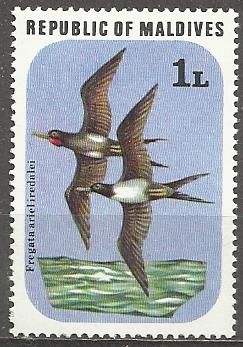 Maldivy č Mi  0711