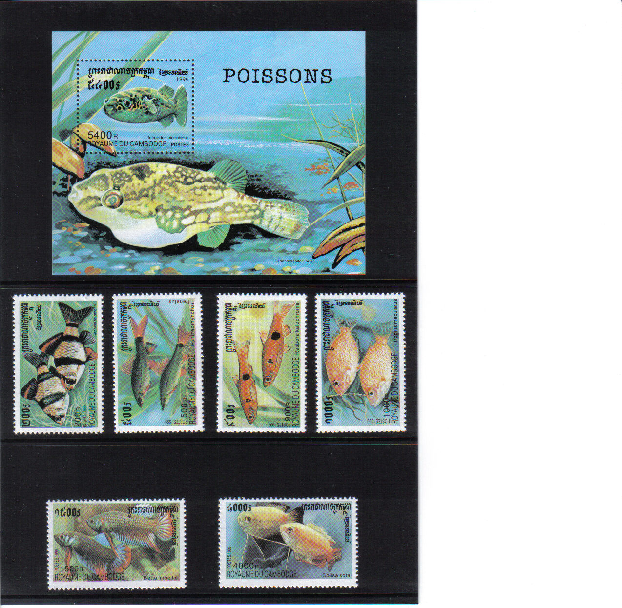 Ryby Kambodža 1999*