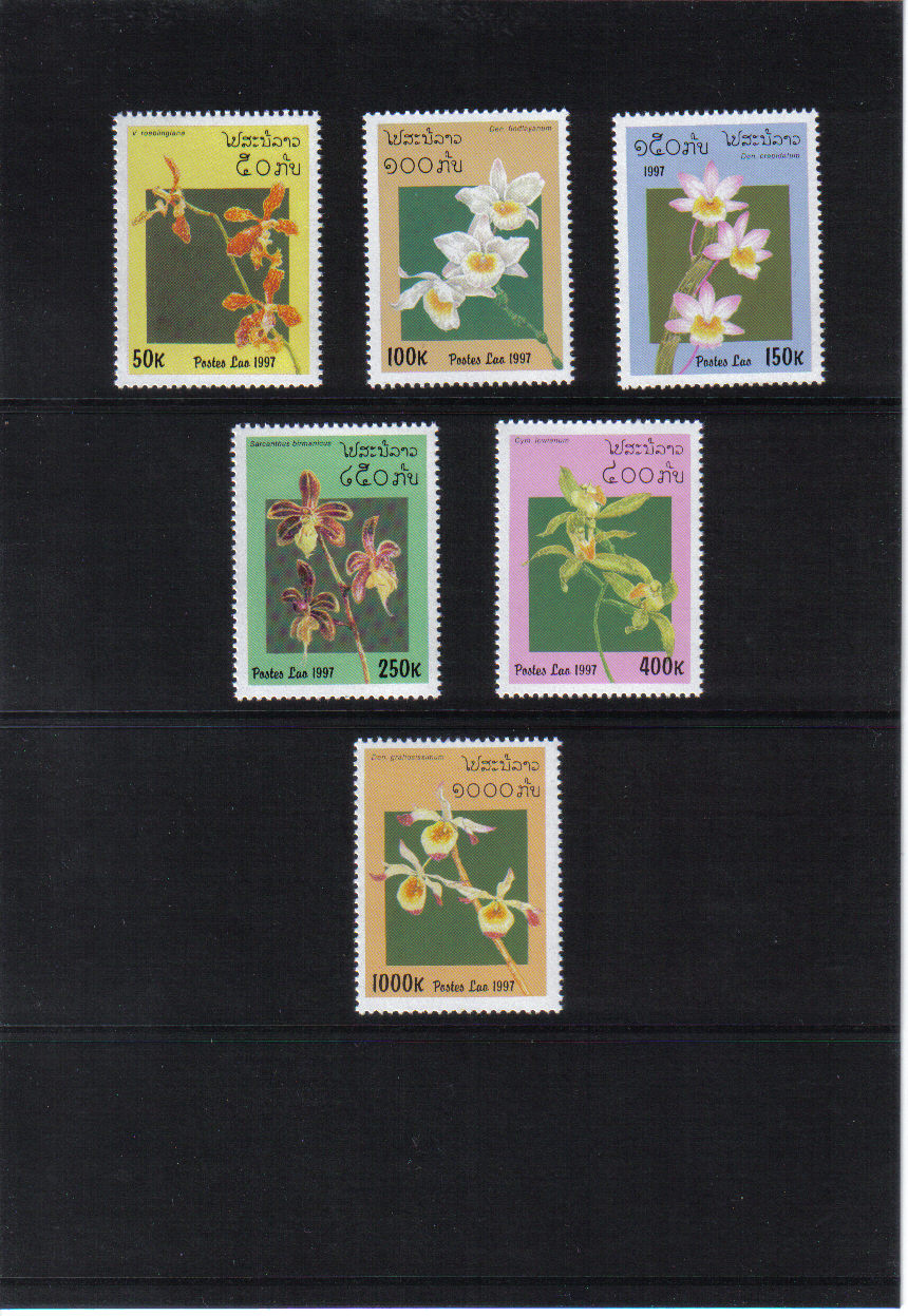 Kvety Laos 1997*