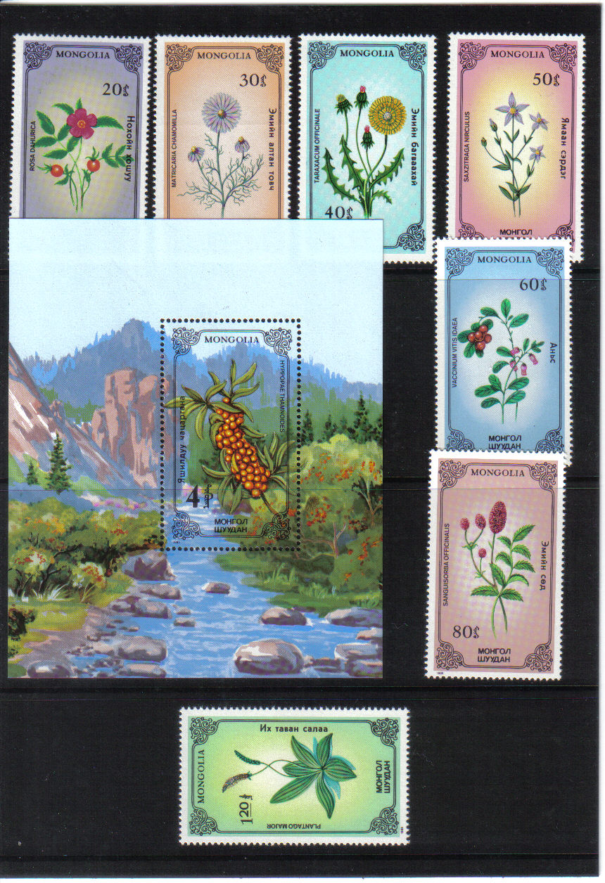 Kvety Mongolsko 1985*