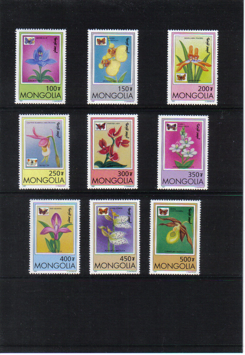 Kvety Mongolsko 1997*