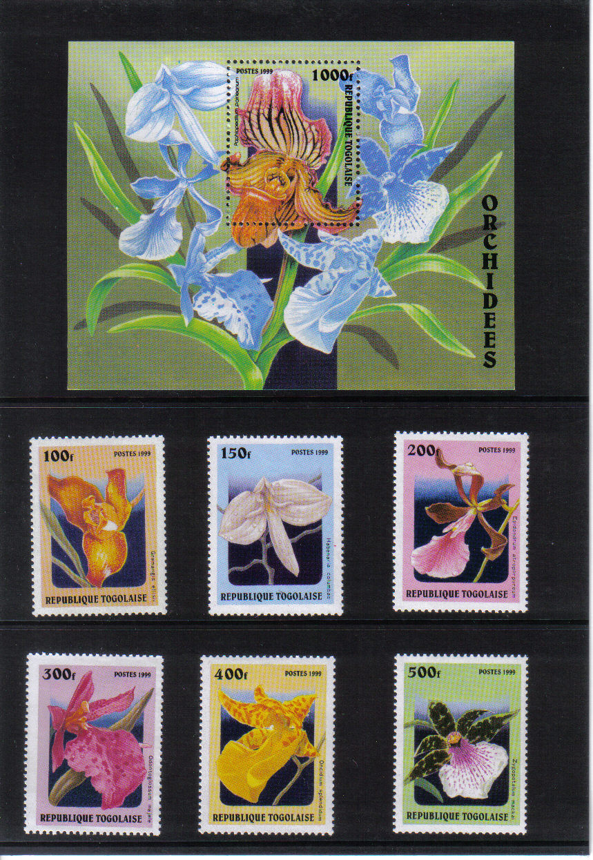 Orchidey  Togo 1999*