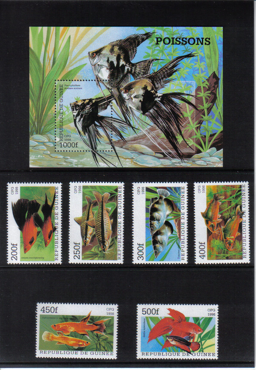 Ryby Guinea  1998*