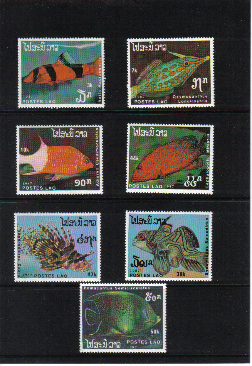 Ryby Laos 1987*