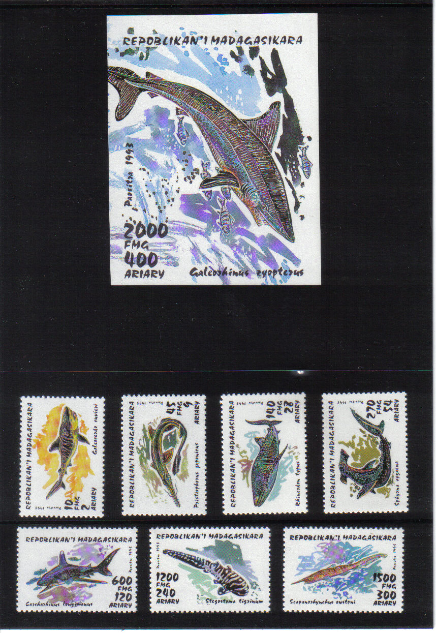Žraloky Madagaskar 1993*