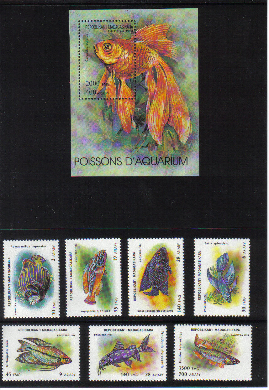 Ryby Madagaskar 1994*