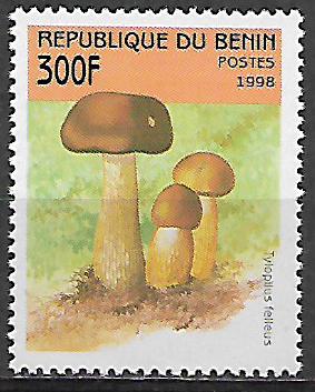 Benin č Mi 1007