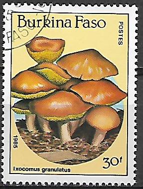 Burkina Faso p Mi 1056