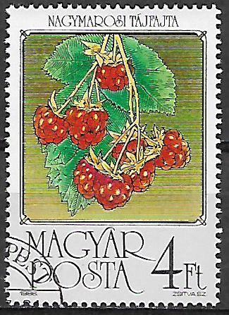 Maďarsko p Mi 3851