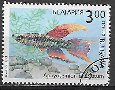 Bulharsko p  Mi 4051