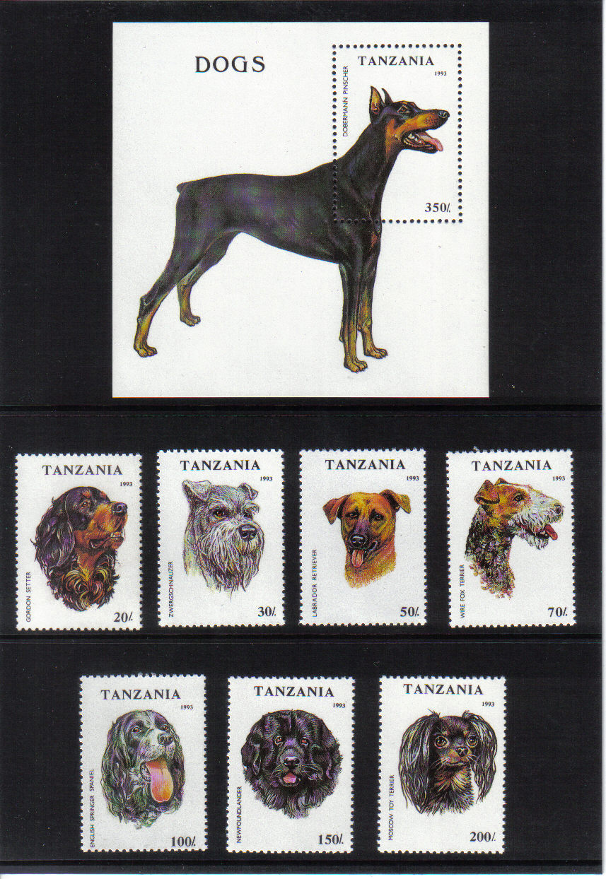 Psy Tanzánia 1993*