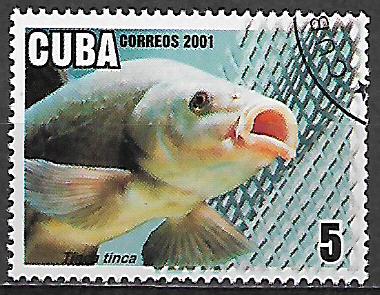 Kuba p Mi 4366