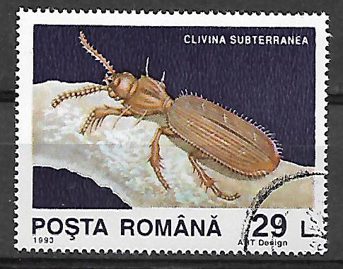 Rumunsko p  Mi 4942