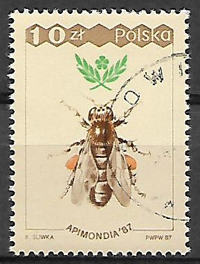 Poľsko p Mi 3107