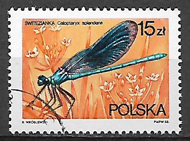 Poľsko p Mi 3135