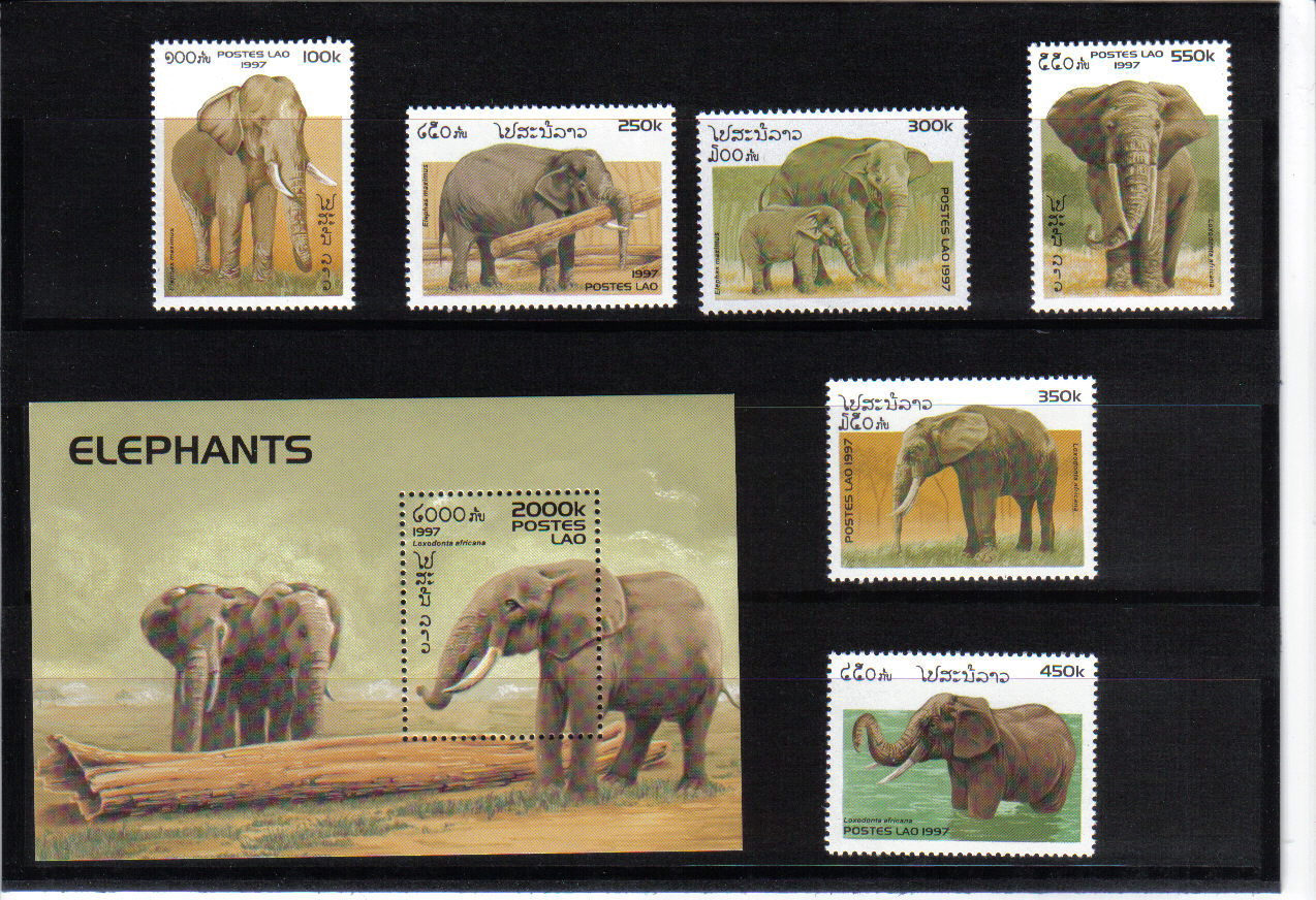 Slony Laos 1997*
