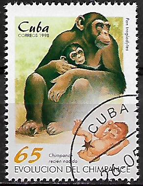 Kuba p Mi 4109